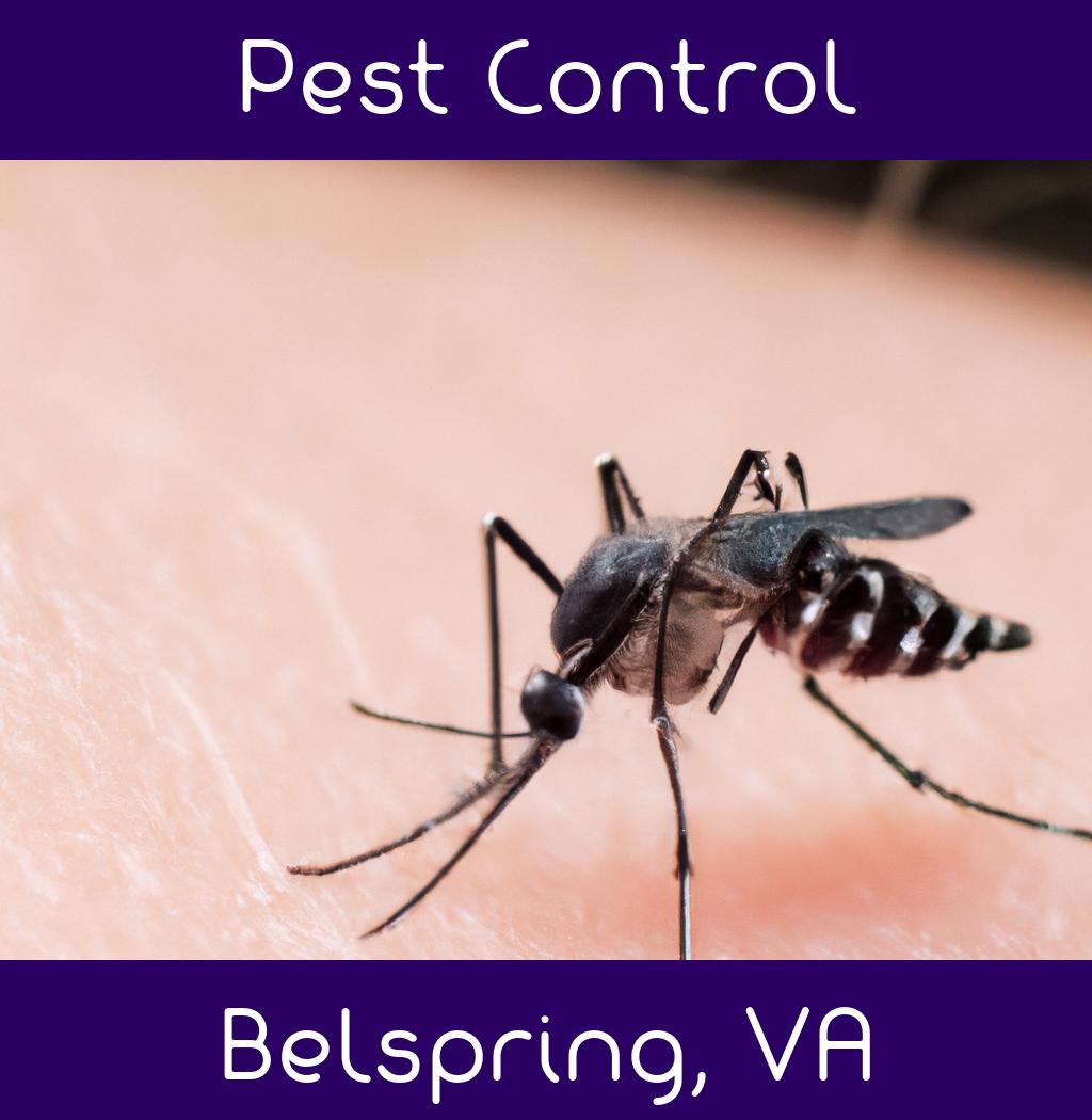 pest control in Belspring Virginia