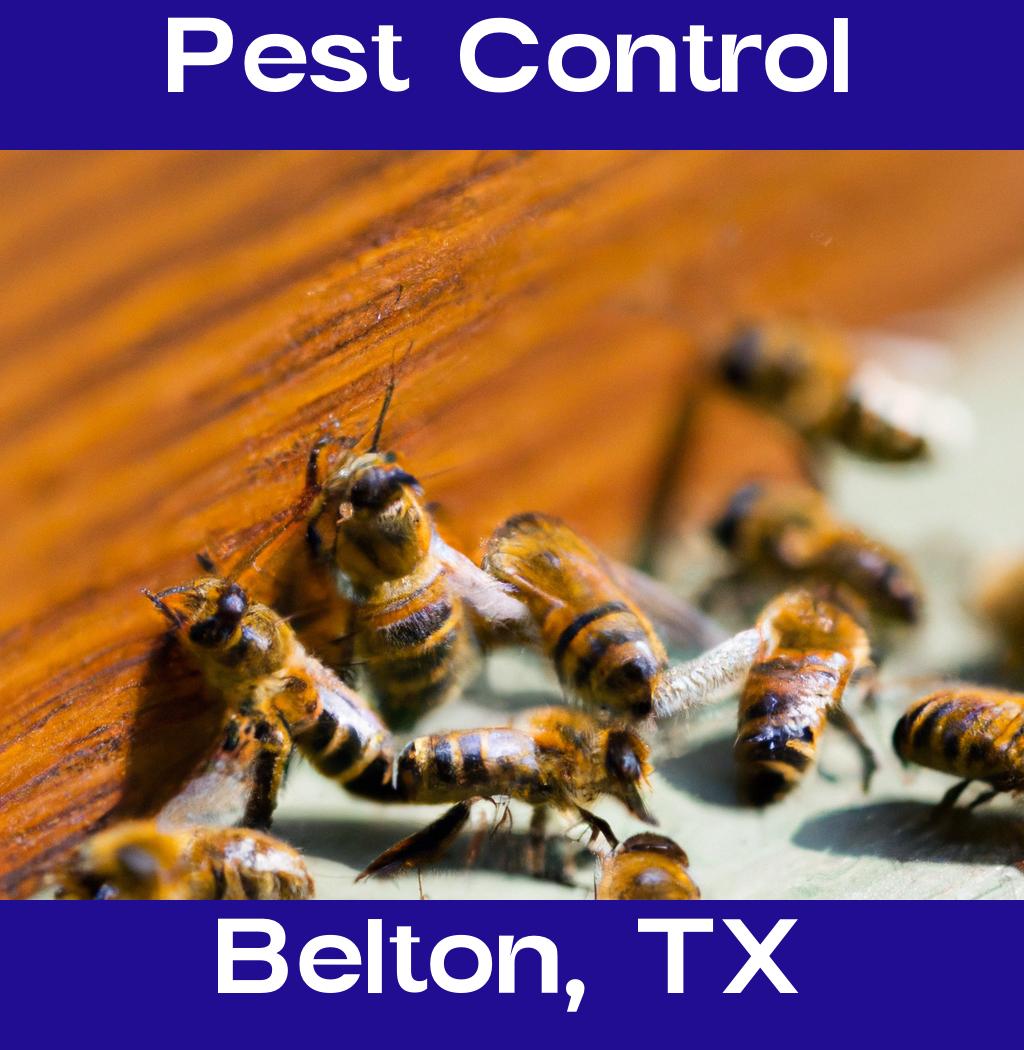 pest control in Belton Texas