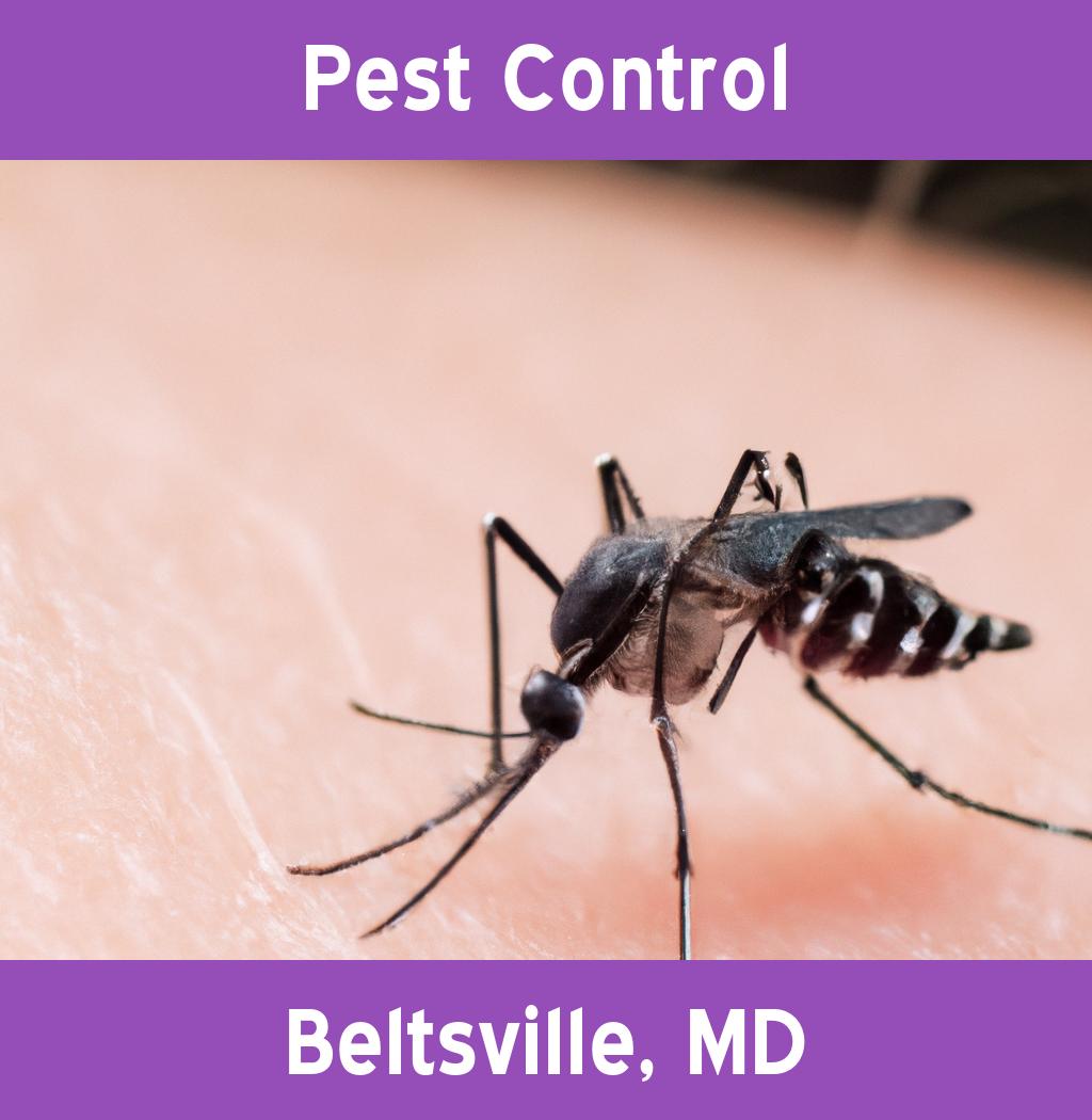 pest control in Beltsville Maryland