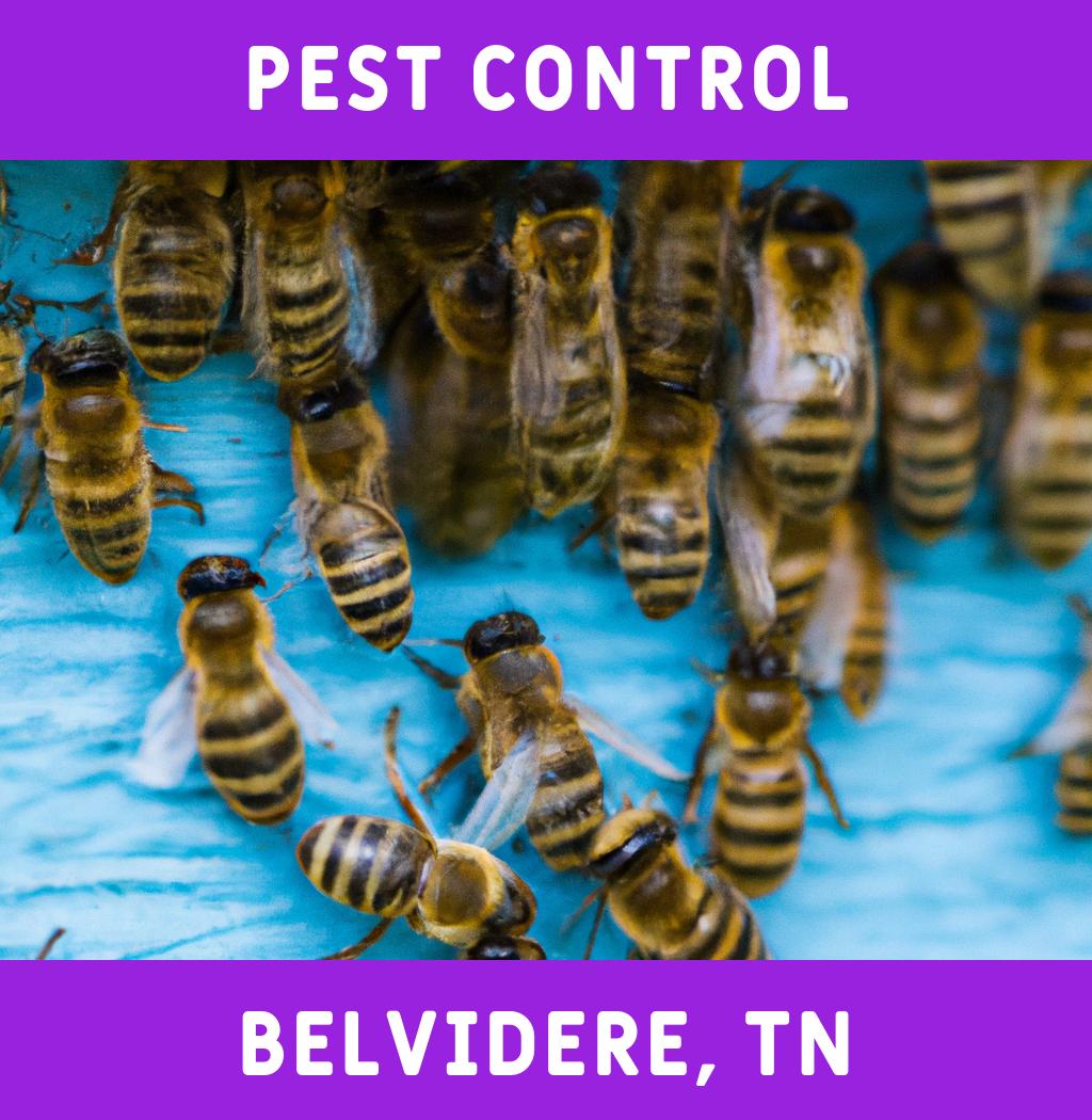pest control in Belvidere Tennessee