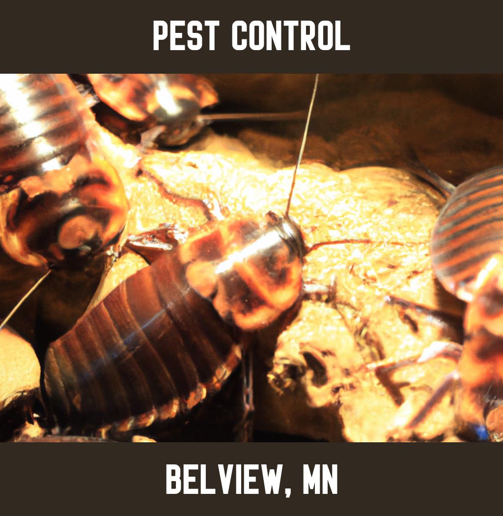 pest control in Belview Minnesota