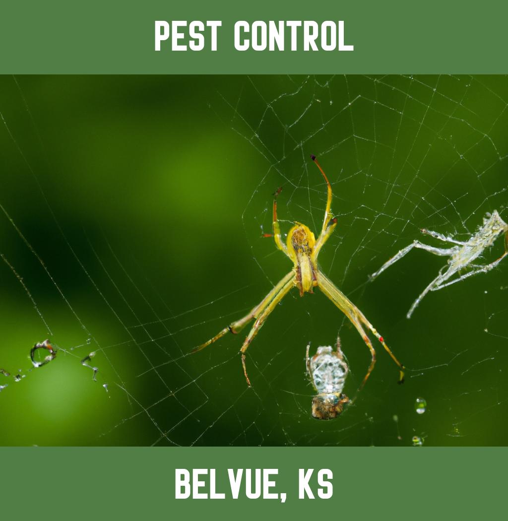 pest control in Belvue Kansas