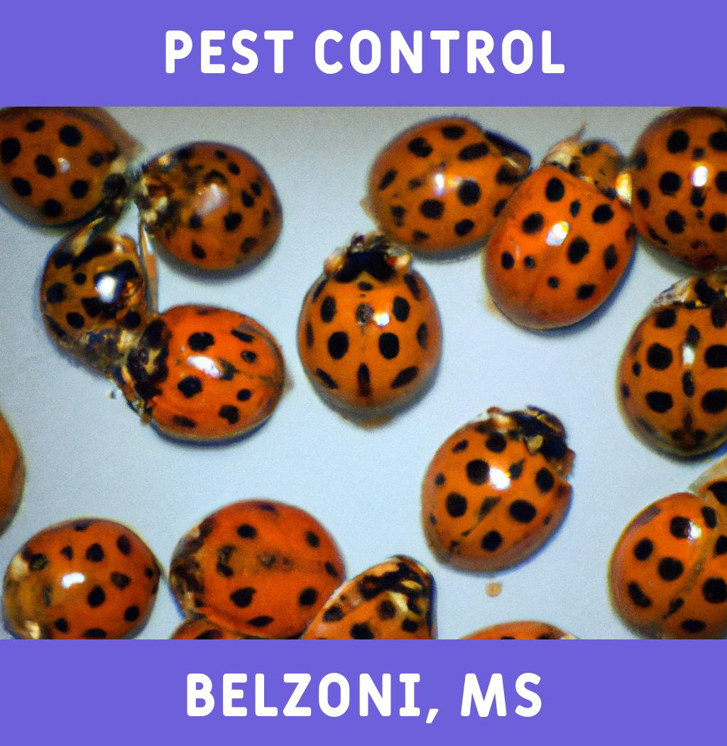 pest control in Belzoni Mississippi