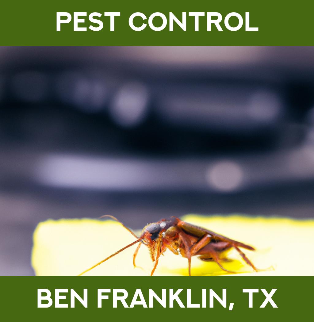 pest control in Ben Franklin Texas