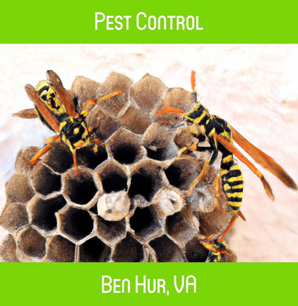 pest control in Ben Hur Virginia