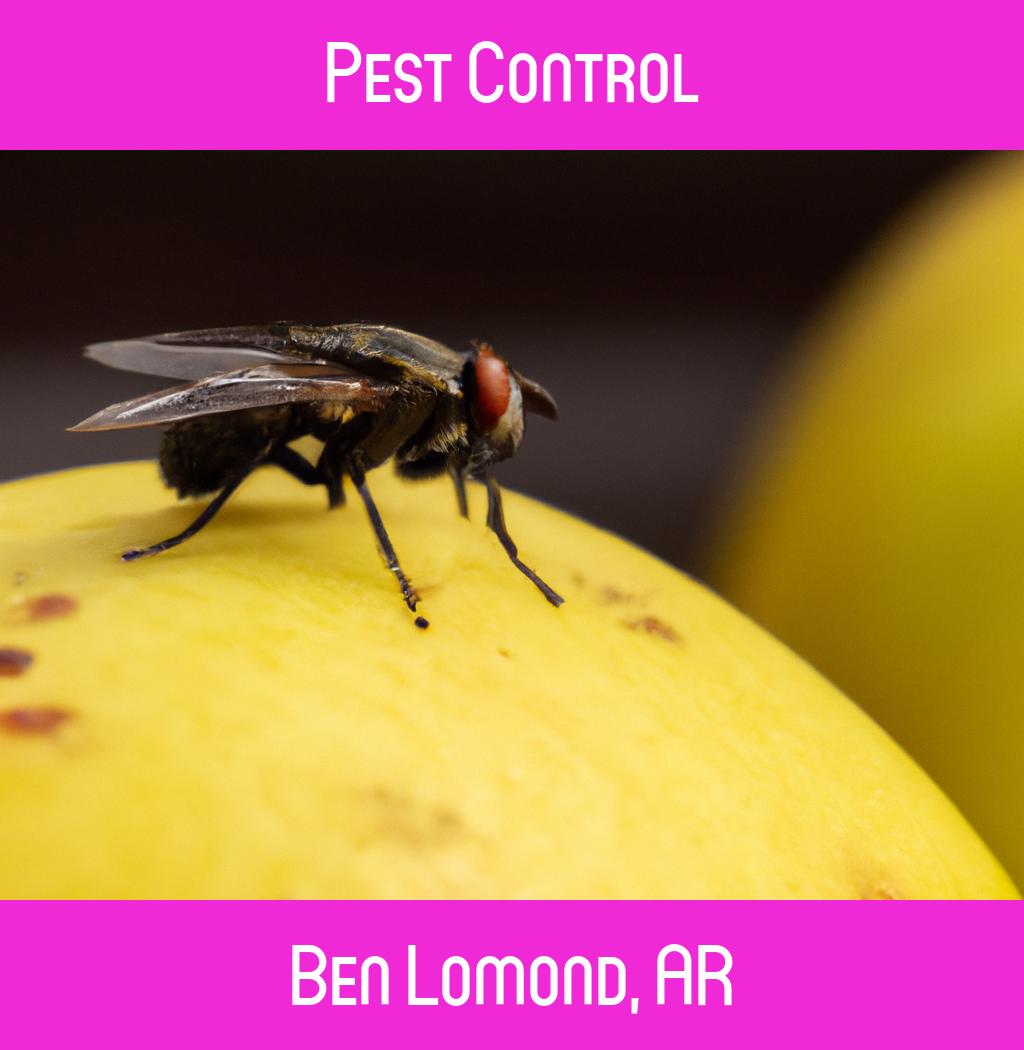 pest control in Ben Lomond Arkansas