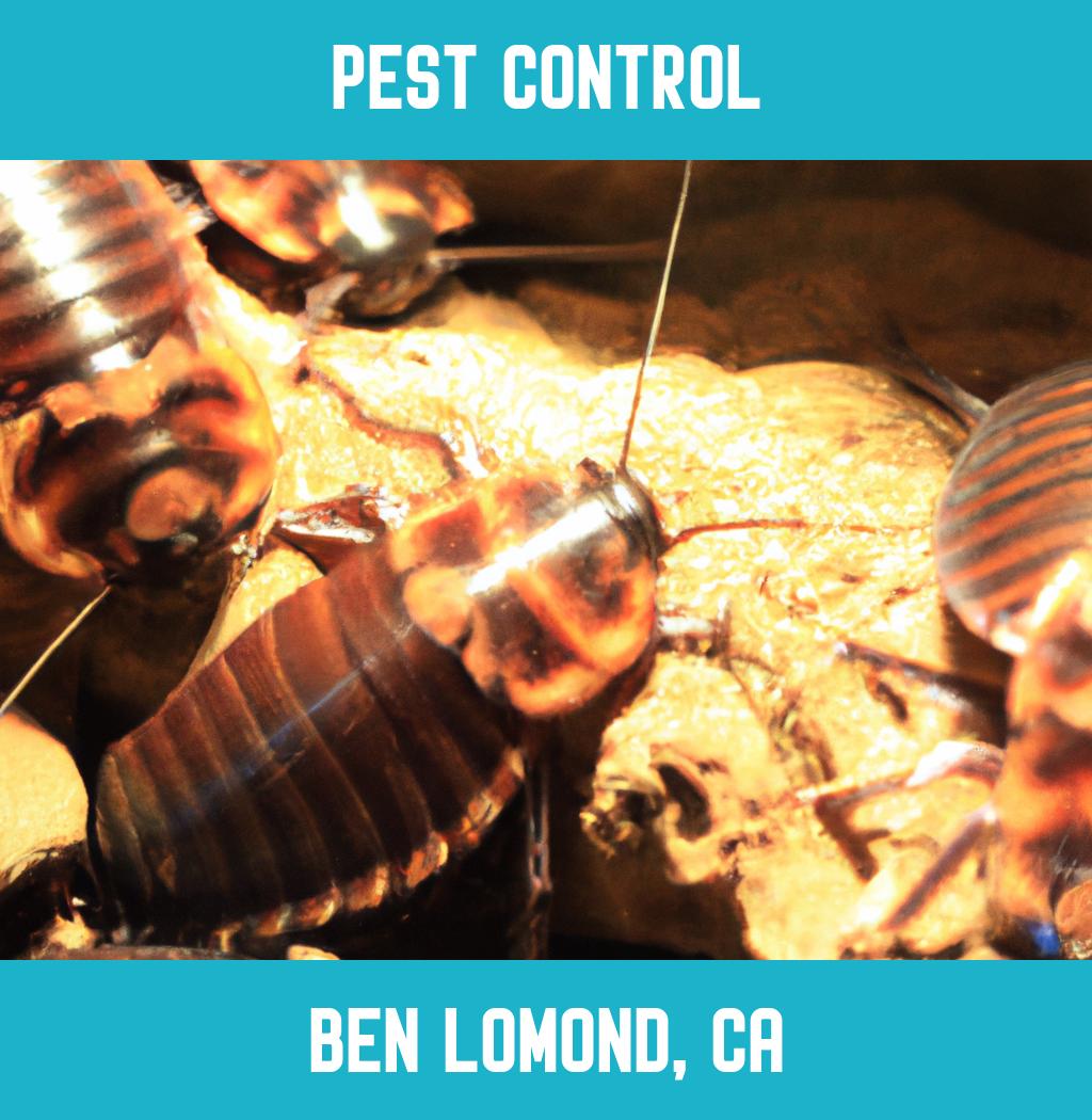 pest control in Ben Lomond California