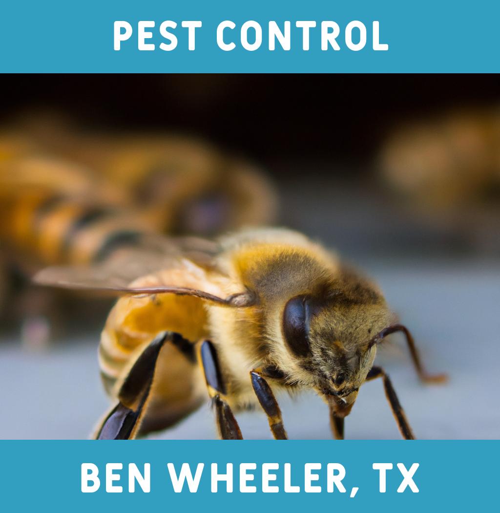 pest control in Ben Wheeler Texas