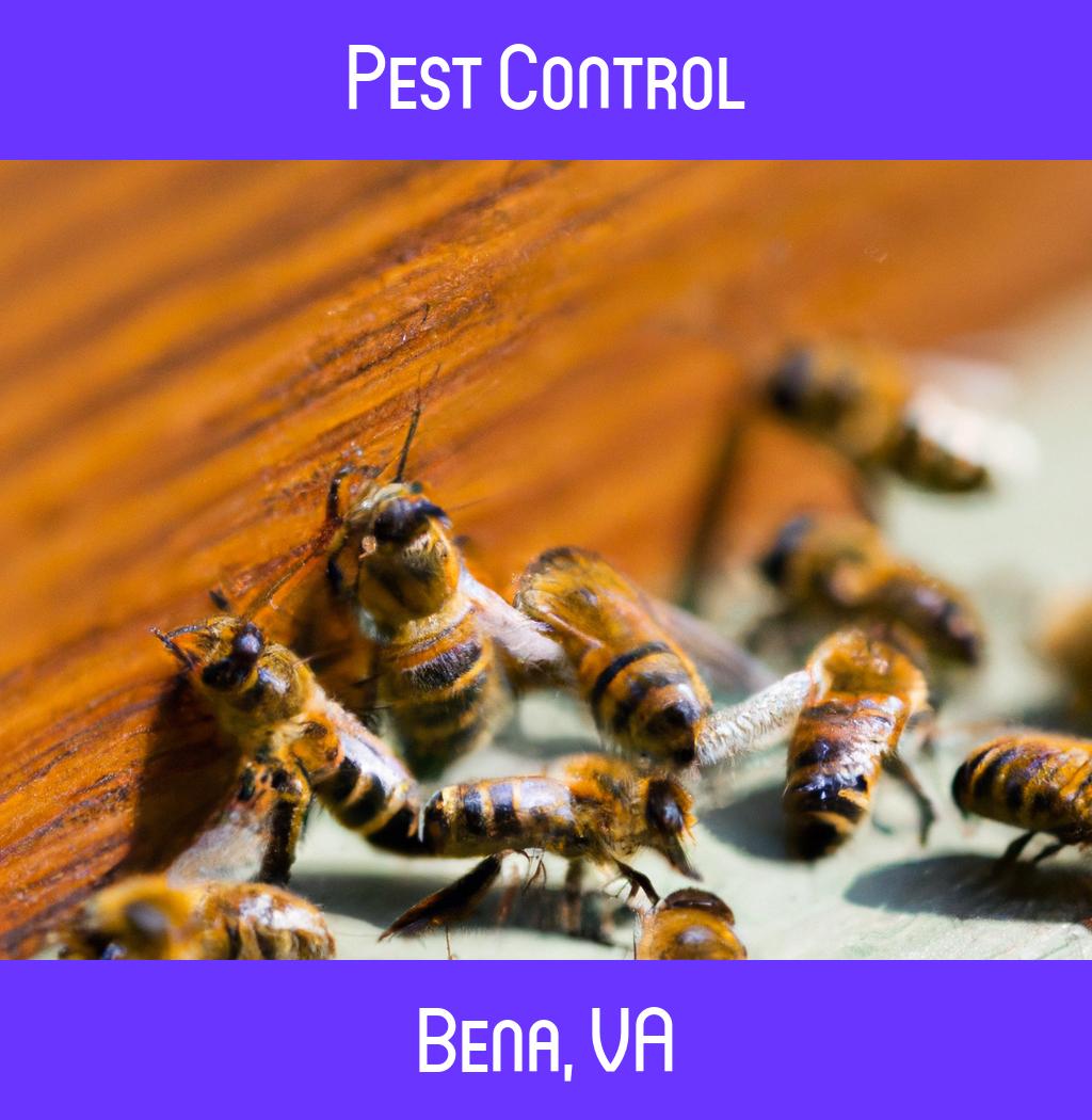 pest control in Bena Virginia