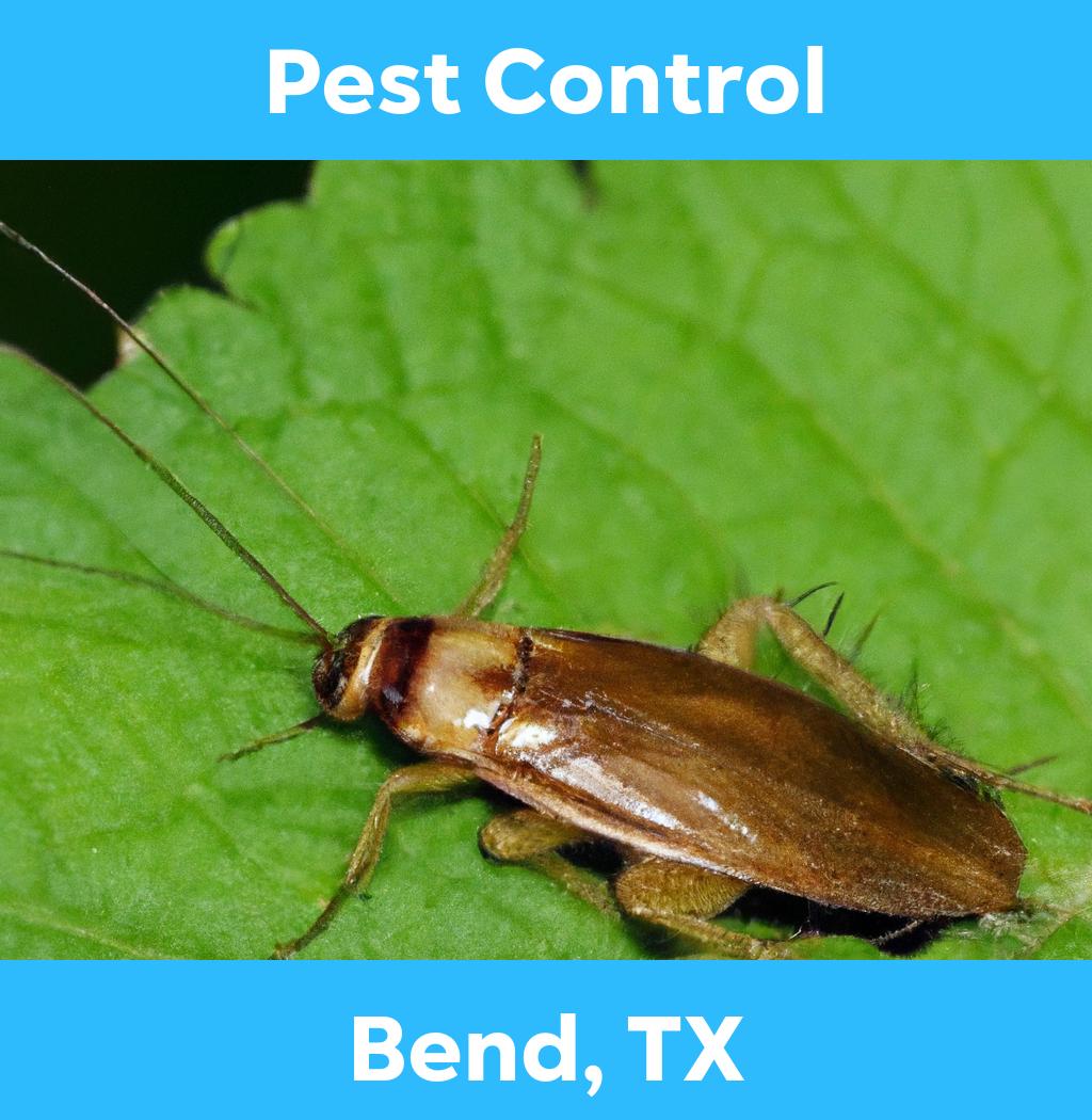 pest control in Bend Texas