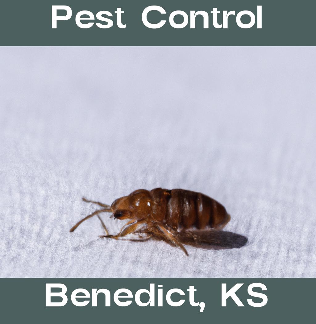 pest control in Benedict Kansas