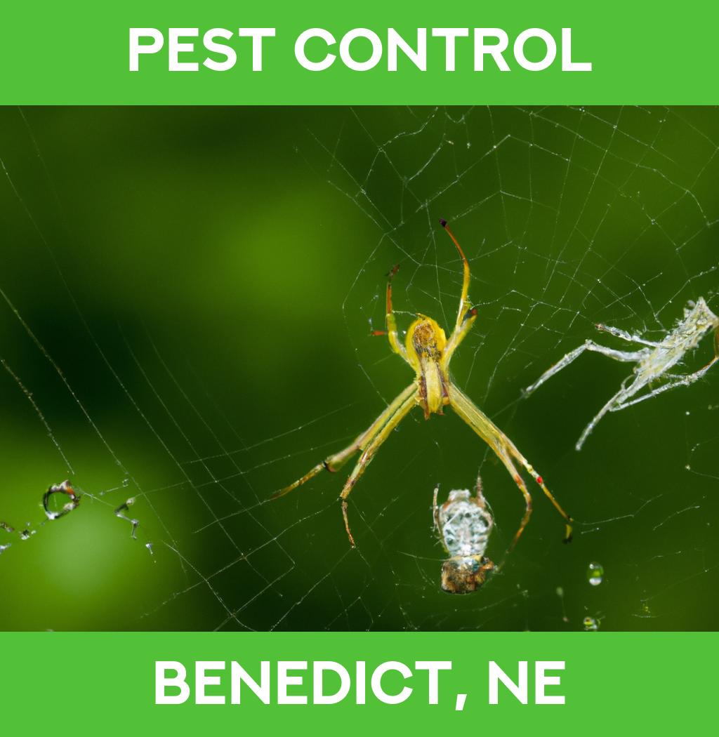 pest control in Benedict Nebraska