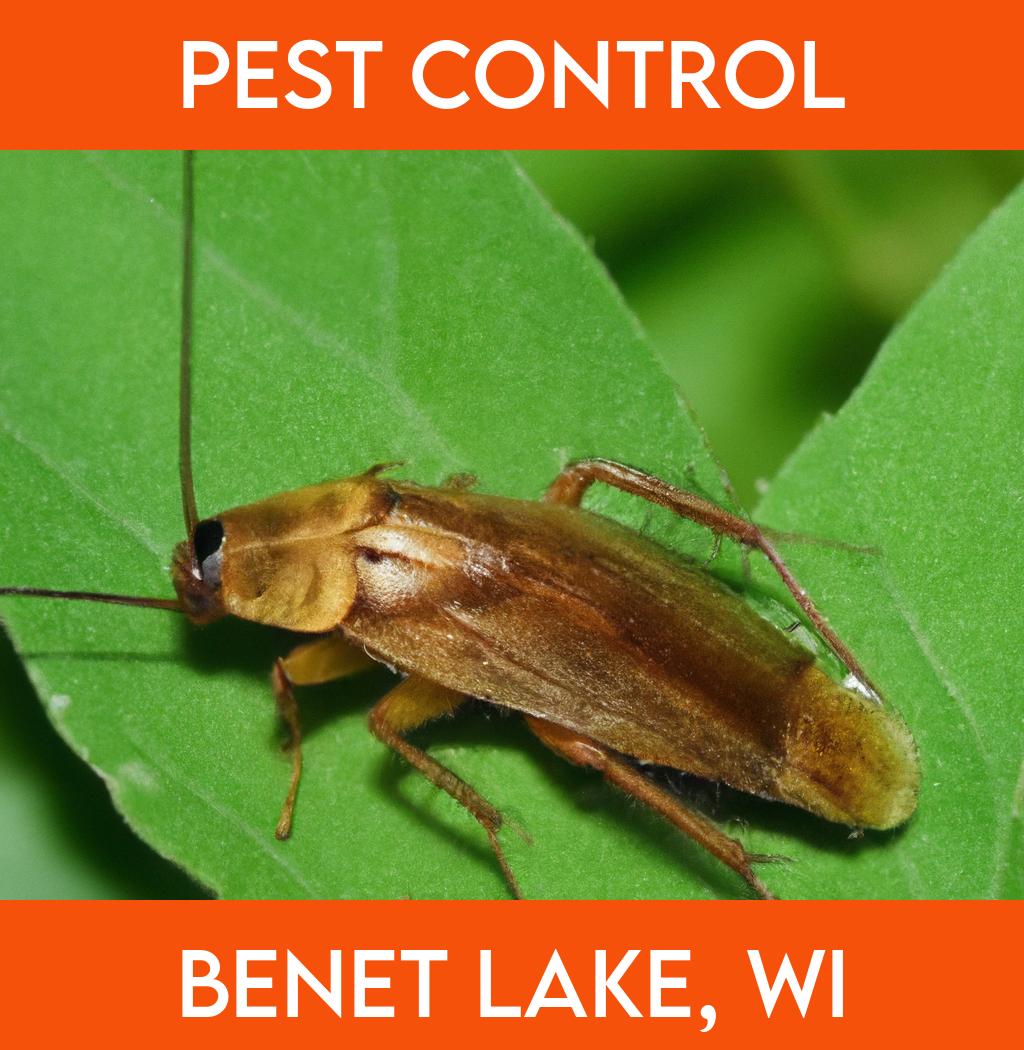 pest control in Benet Lake Wisconsin