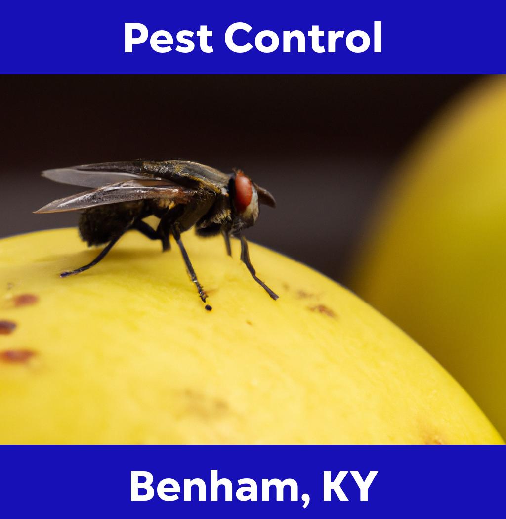 pest control in Benham Kentucky