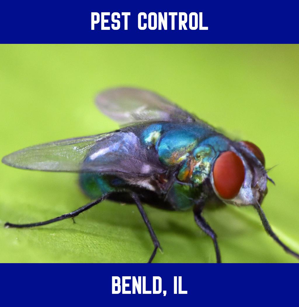 pest control in Benld Illinois