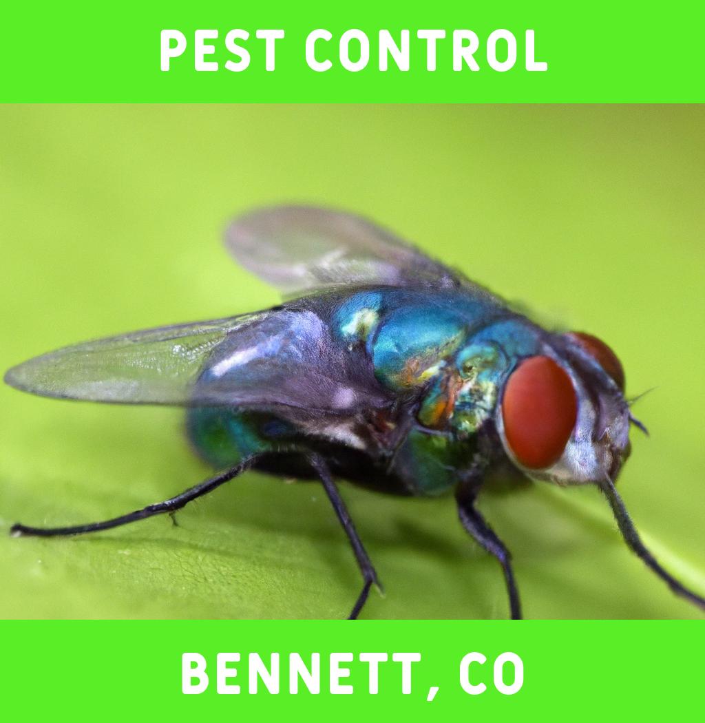pest control in Bennett Colorado