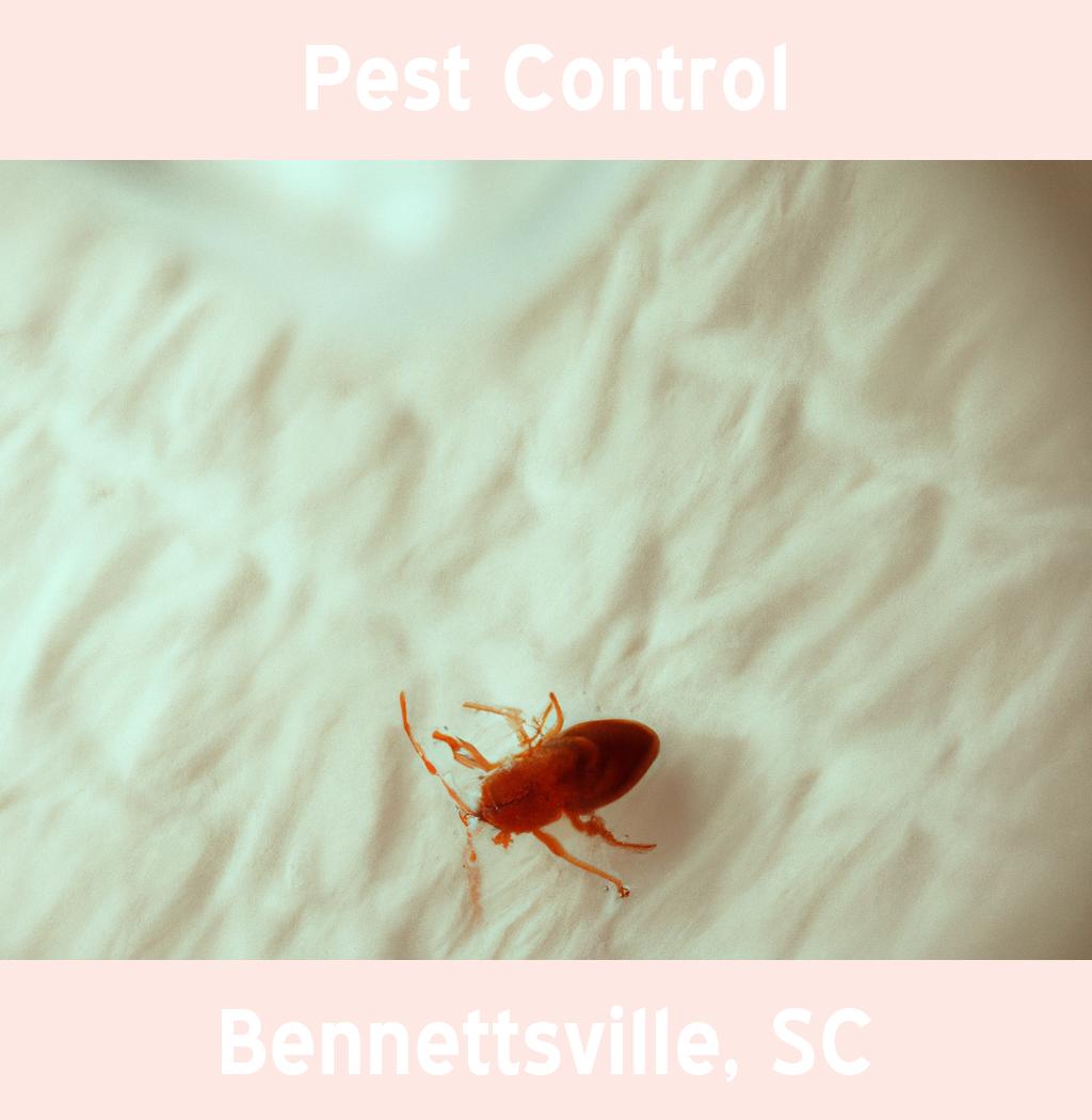 pest control in Bennettsville South Carolina