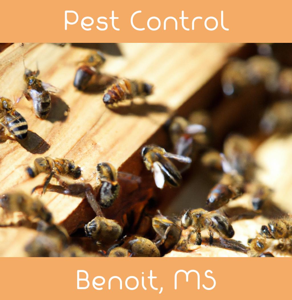 pest control in Benoit Mississippi