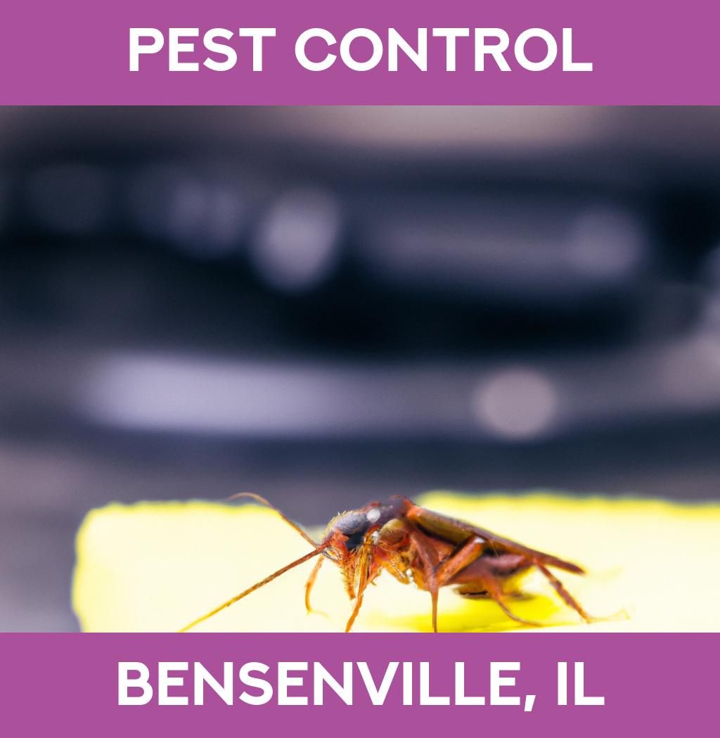pest control in Bensenville Illinois