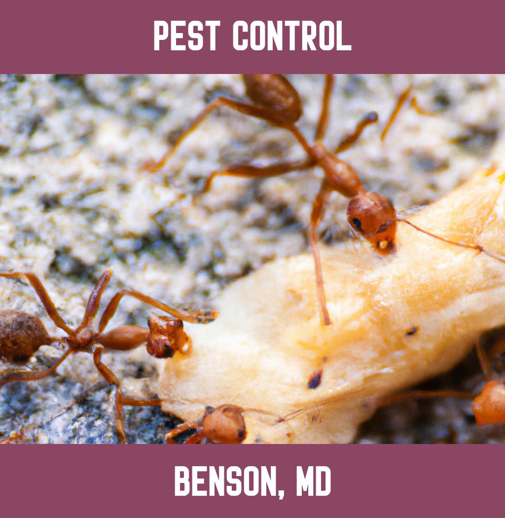 pest control in Benson Maryland