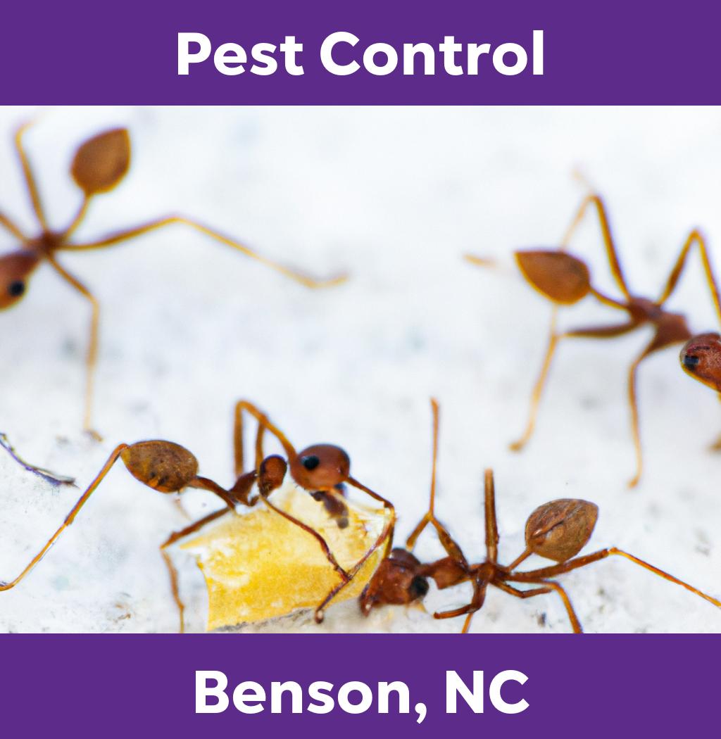 pest control in Benson North Carolina