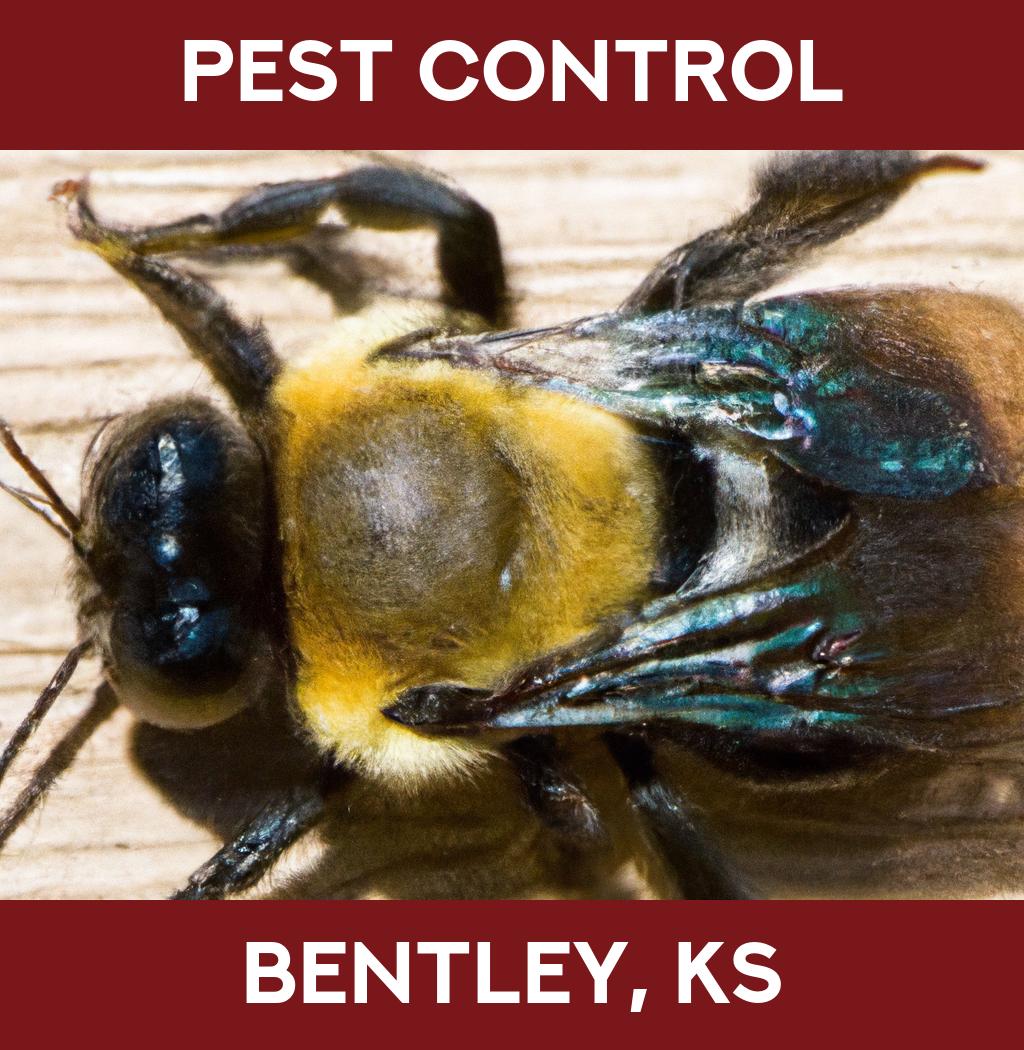 pest control in Bentley Kansas