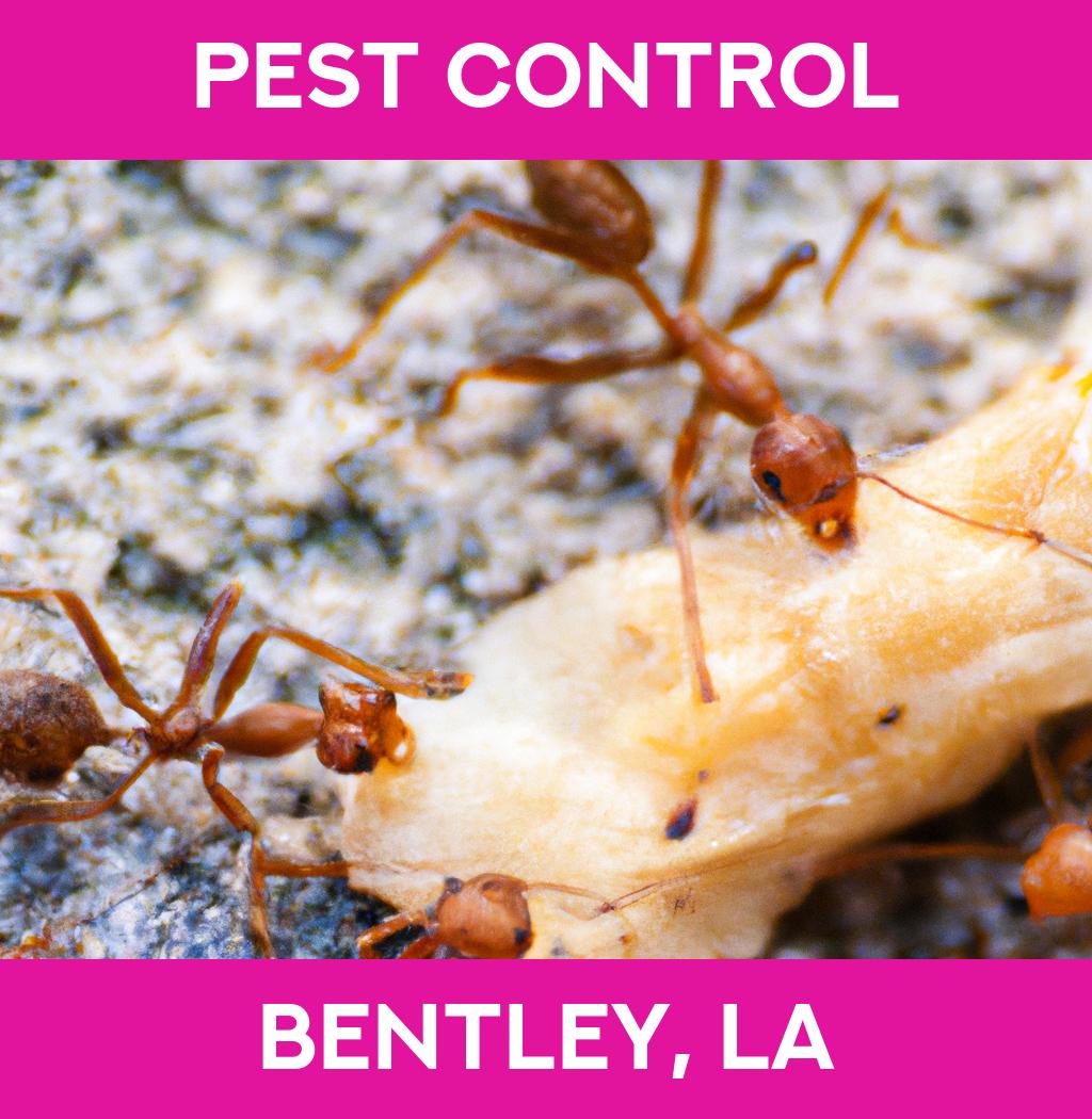 pest control in Bentley Louisiana