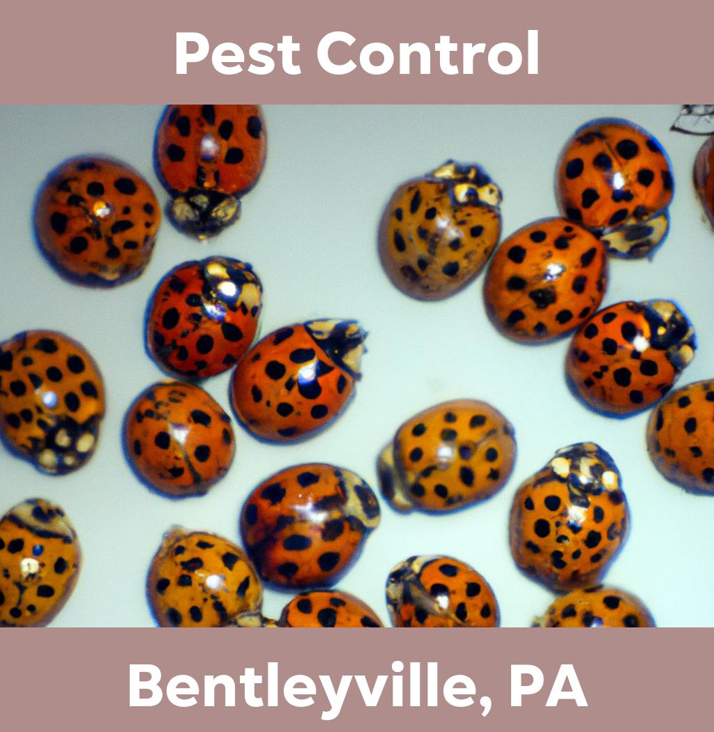 pest control in Bentleyville Pennsylvania