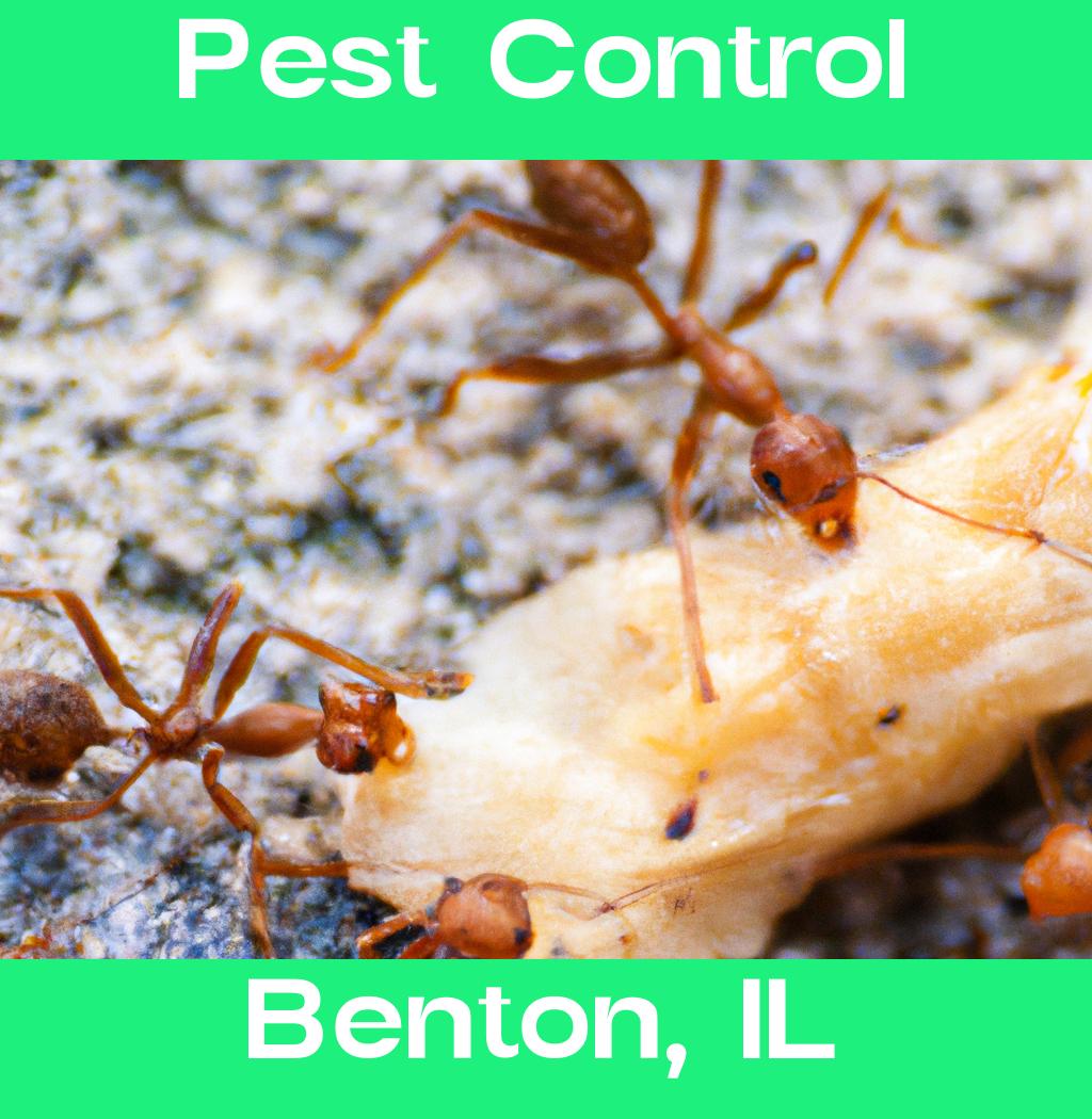 pest control in Benton Illinois
