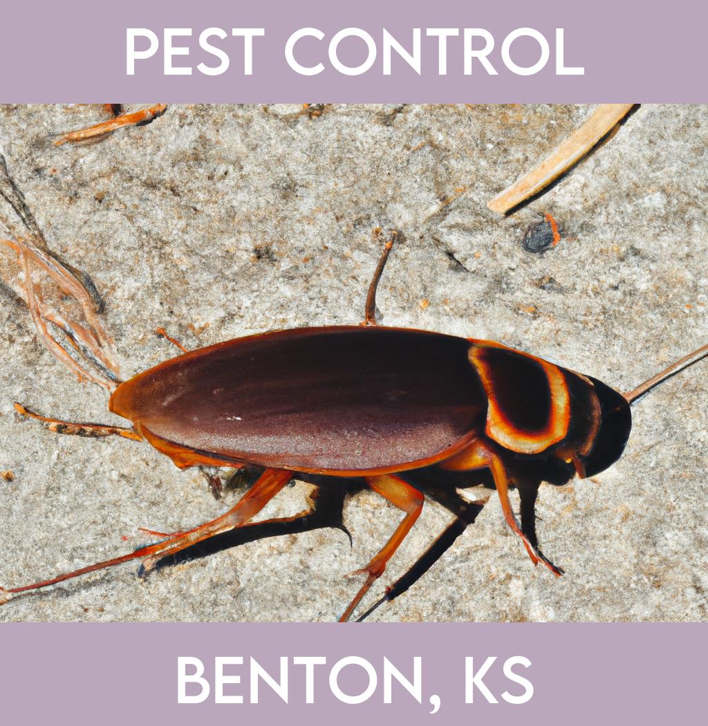 pest control in Benton Kansas