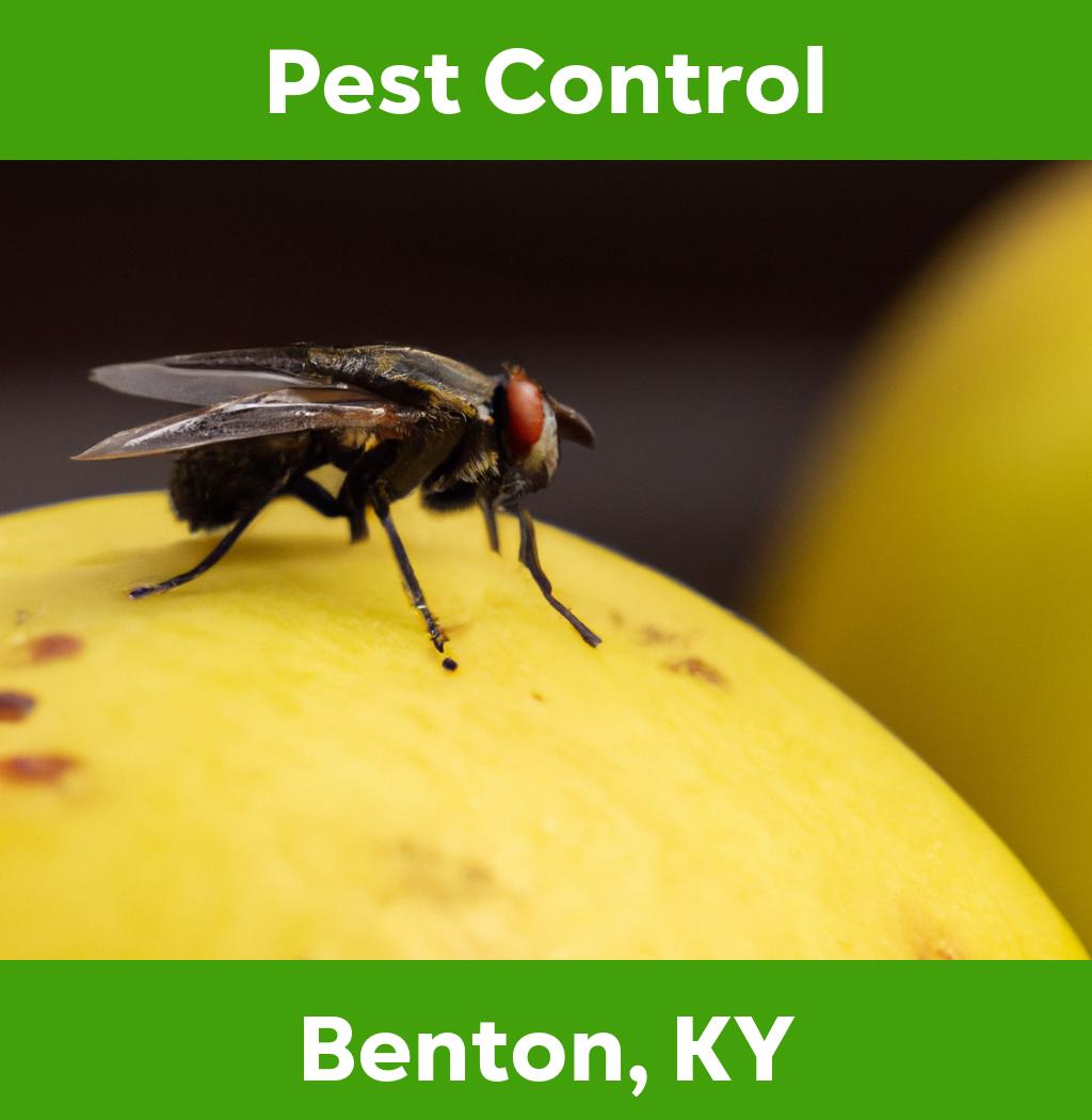 pest control in Benton Kentucky