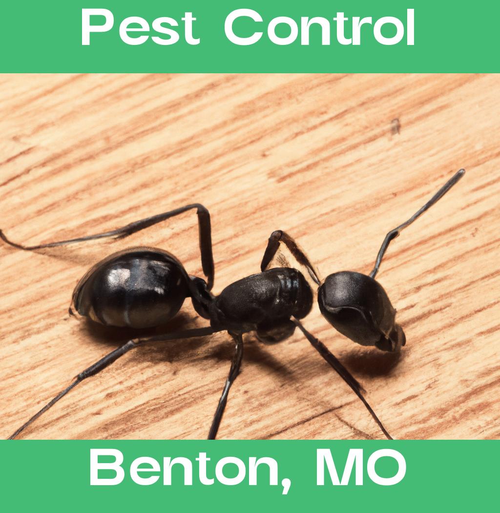 pest control in Benton Missouri