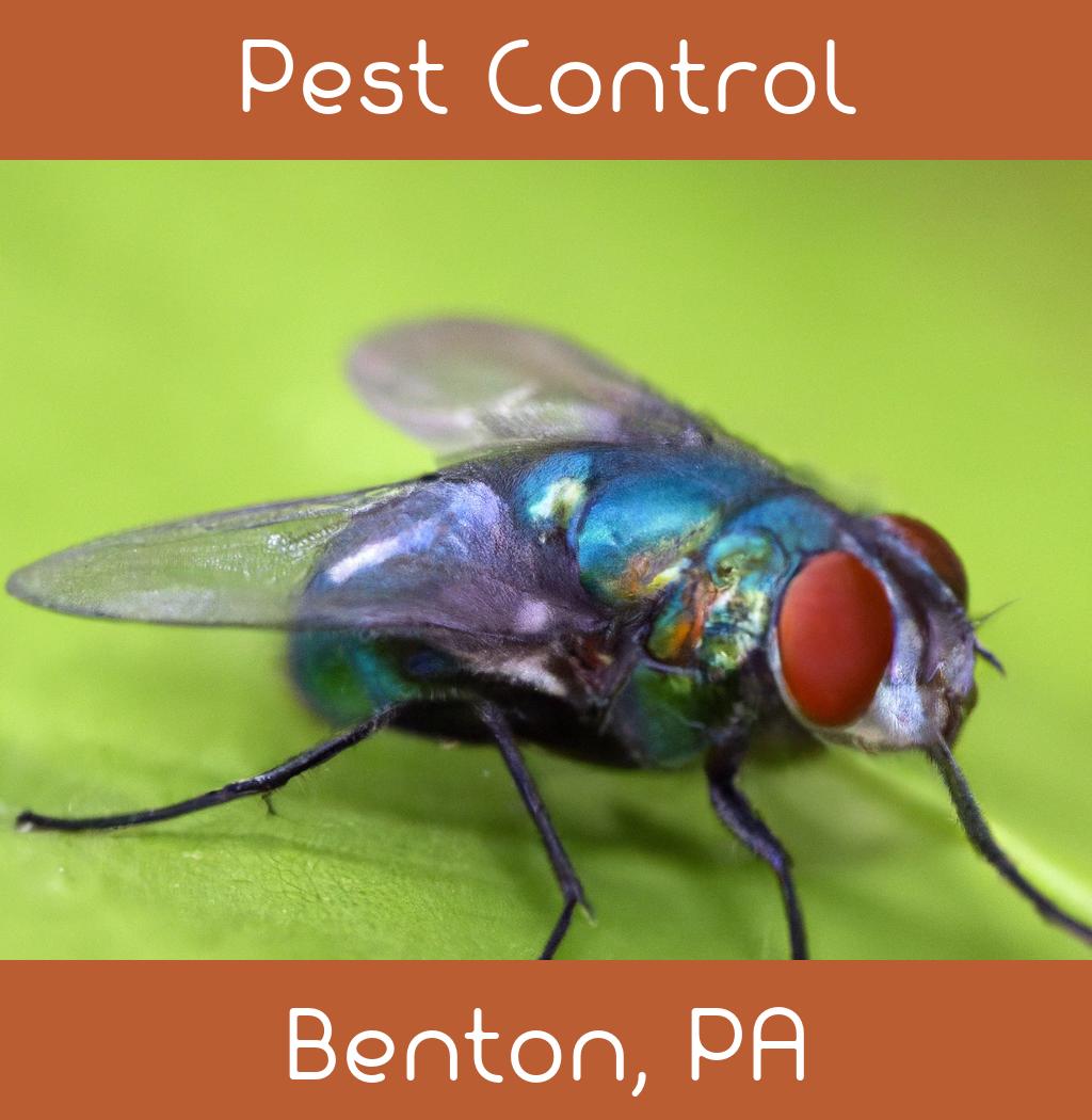 pest control in Benton Pennsylvania