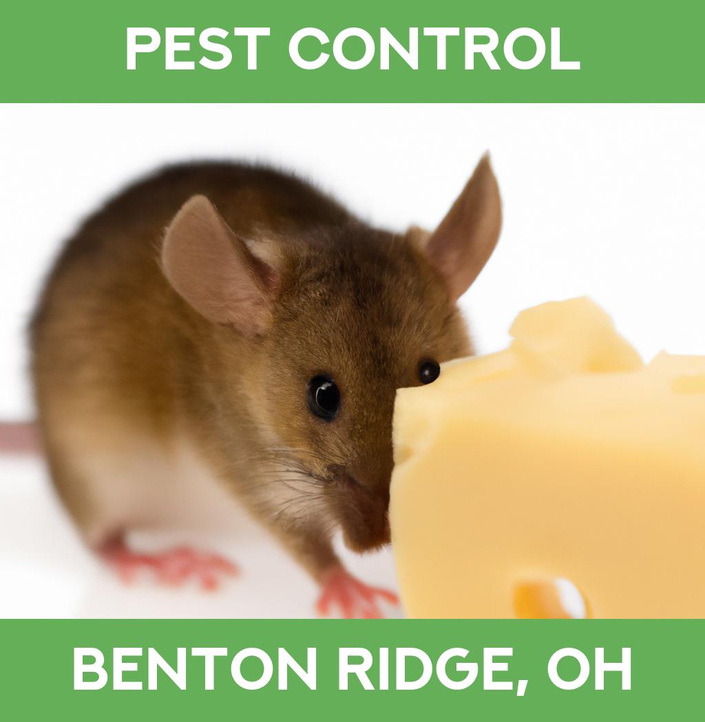 pest control in Benton Ridge Ohio