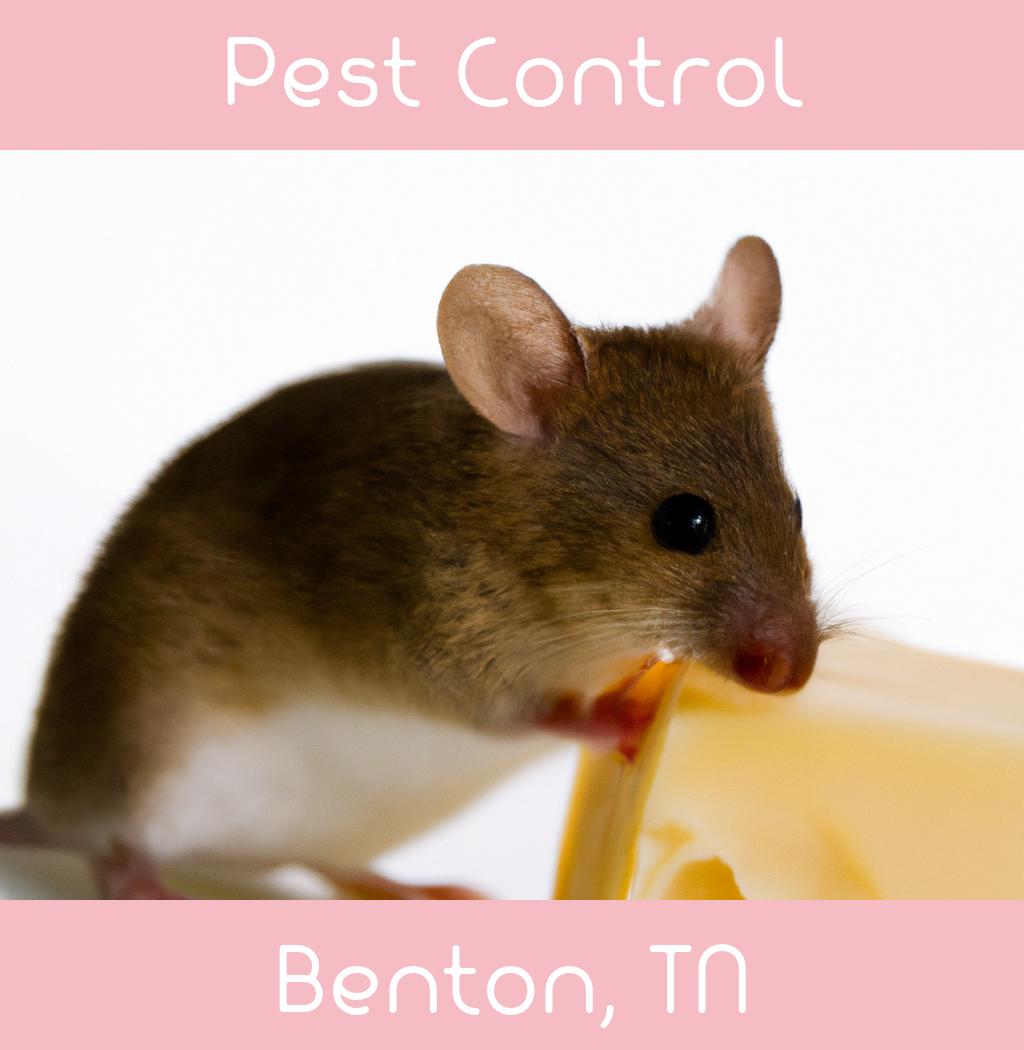pest control in Benton Tennessee