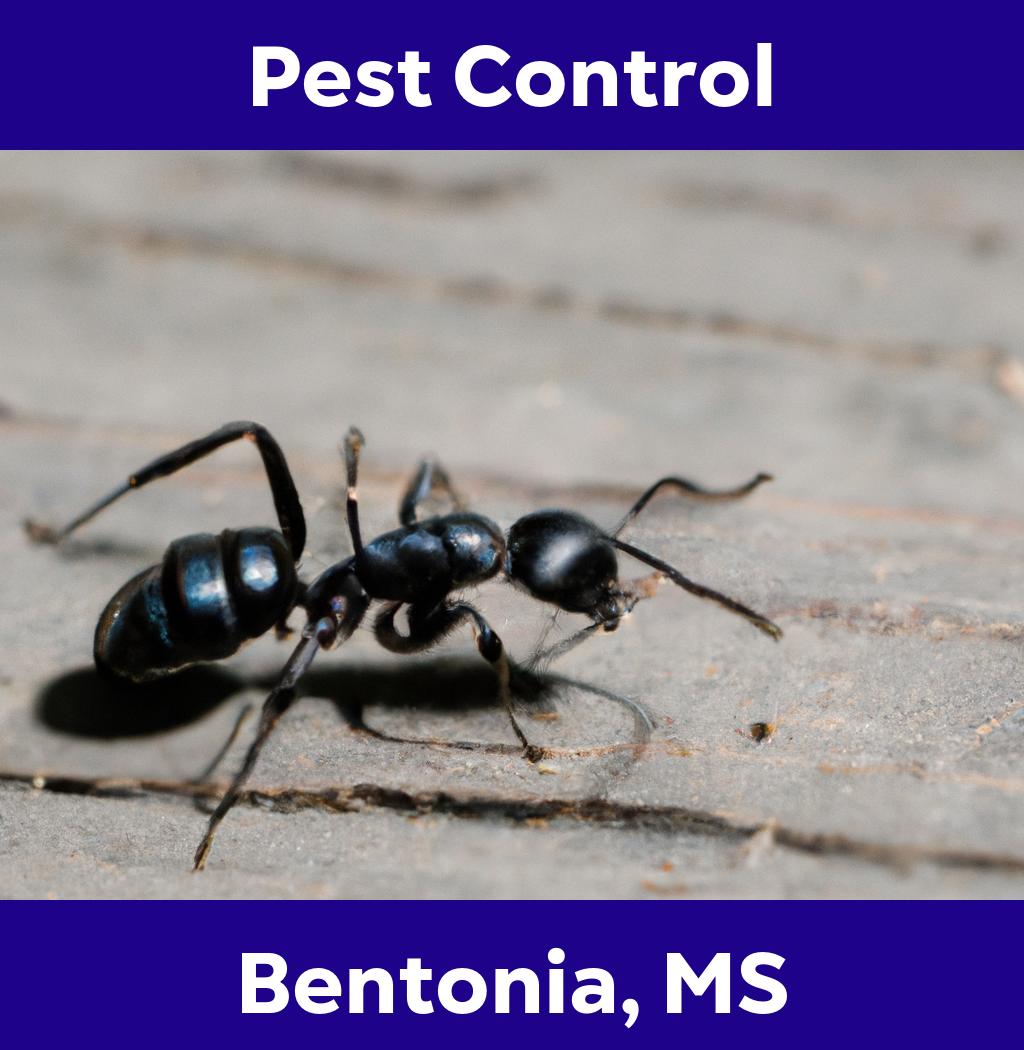 pest control in Bentonia Mississippi