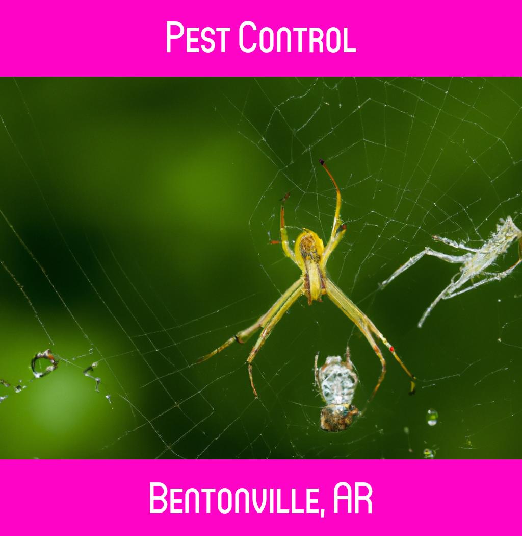 pest control in Bentonville Arkansas