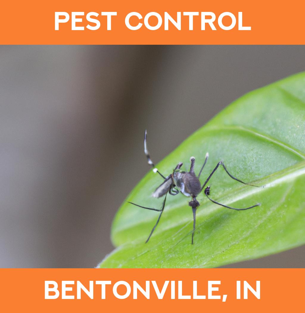 pest control in Bentonville Indiana
