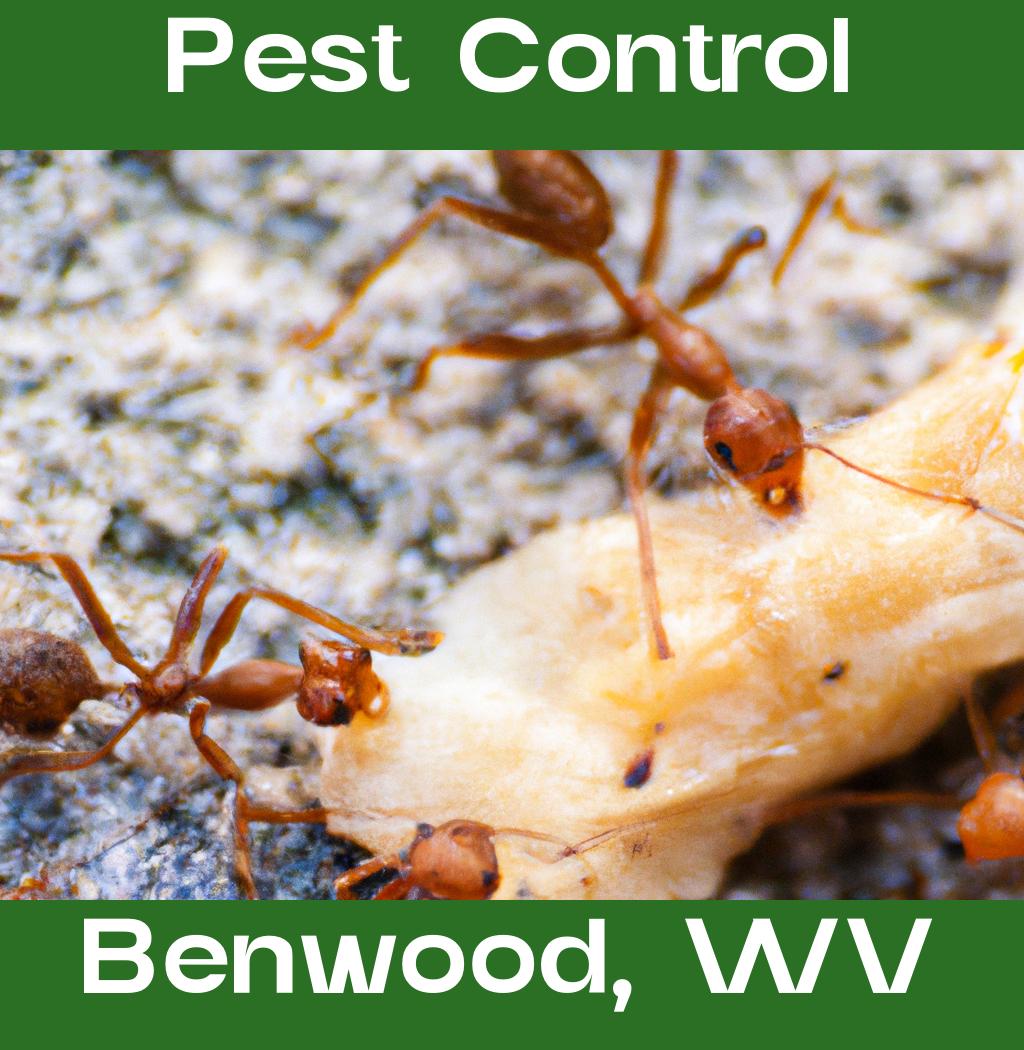 pest control in Benwood West Virginia