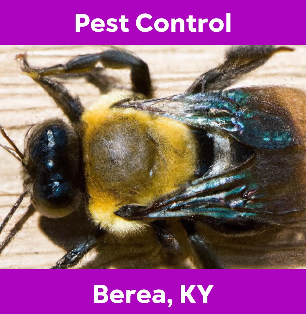 pest control in Berea Kentucky