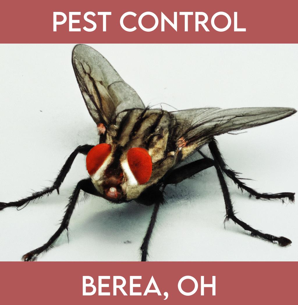 pest control in Berea Ohio