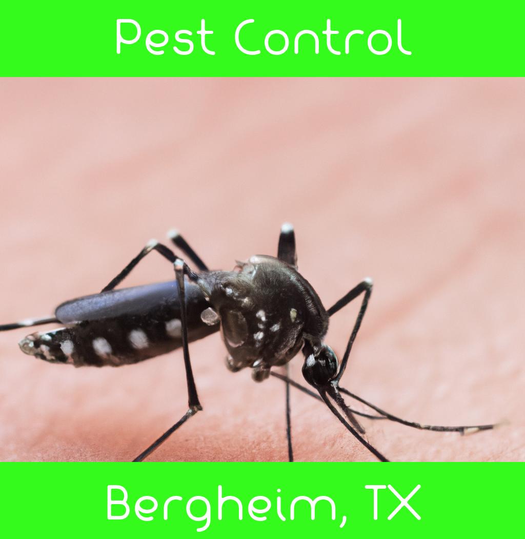 pest control in Bergheim Texas