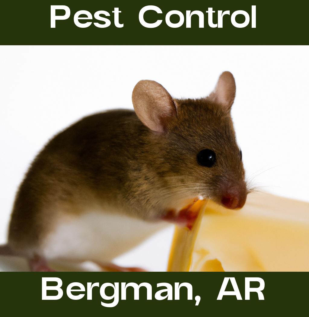 pest control in Bergman Arkansas