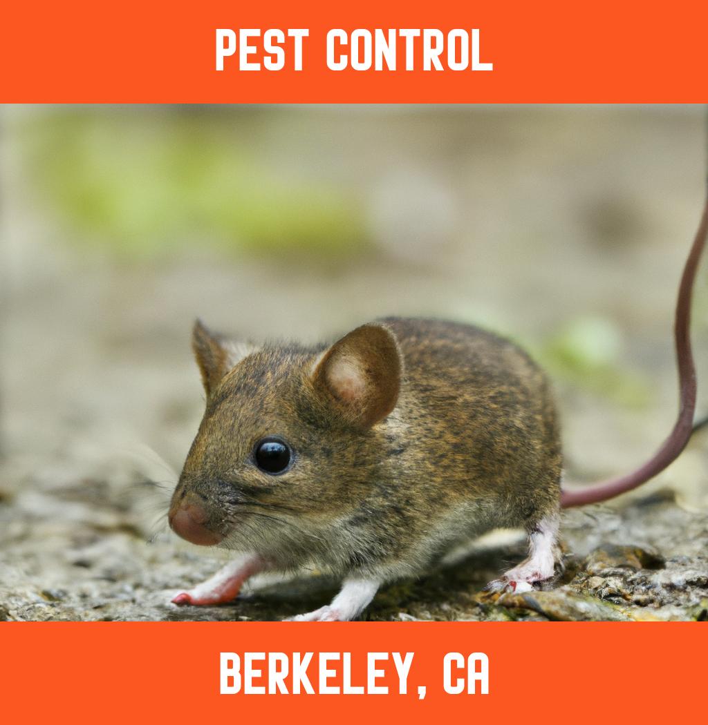 pest control in Berkeley California