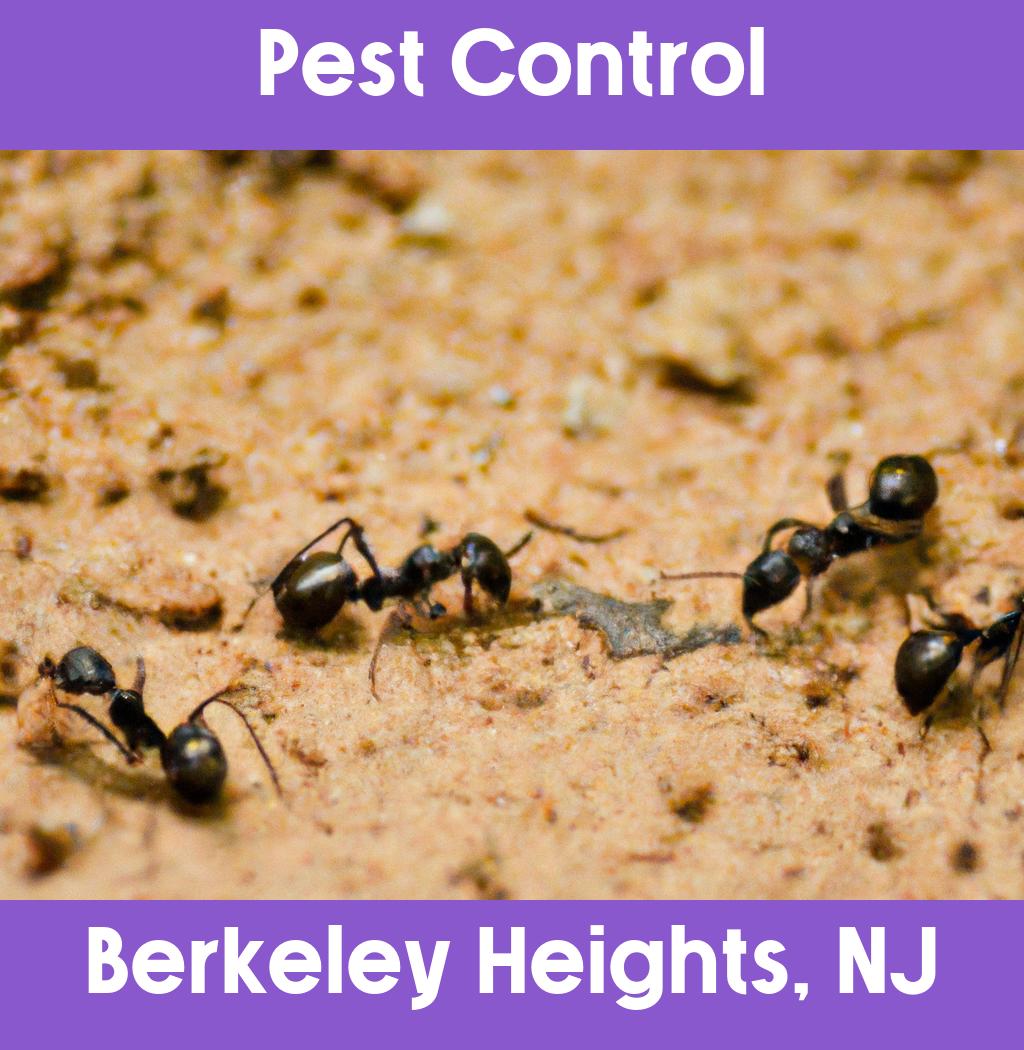 pest control in Berkeley Heights New Jersey