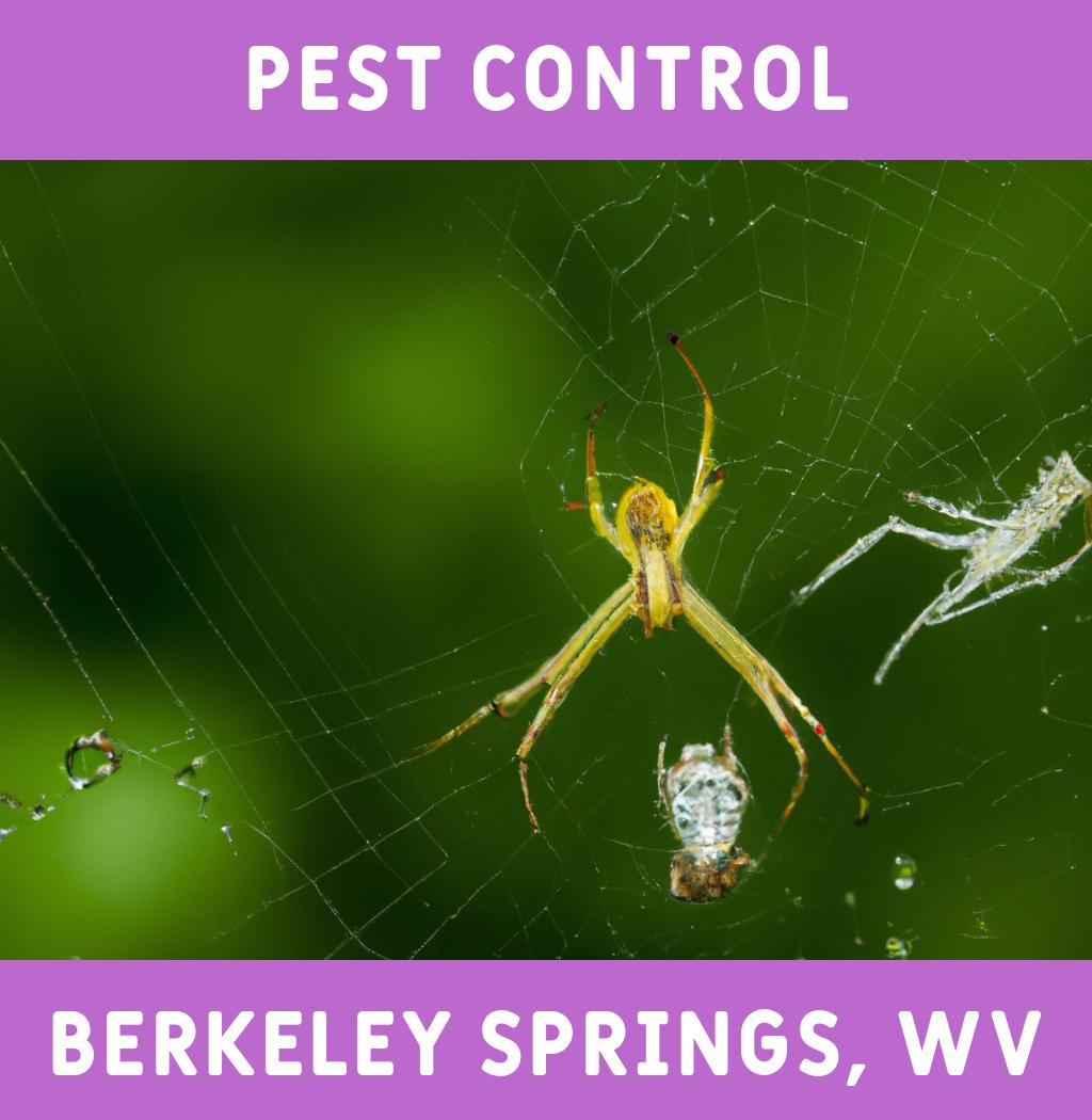 pest control in Berkeley Springs West Virginia