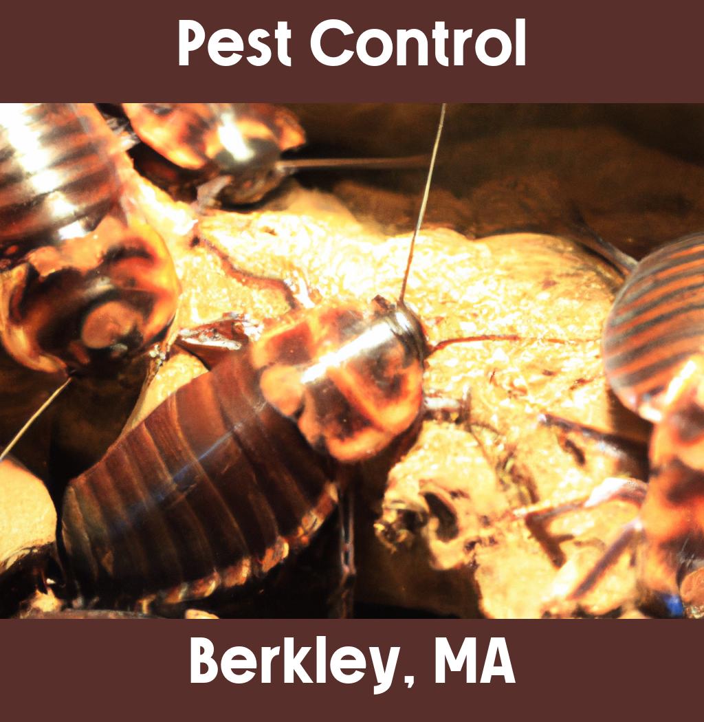 pest control in Berkley Massachusetts