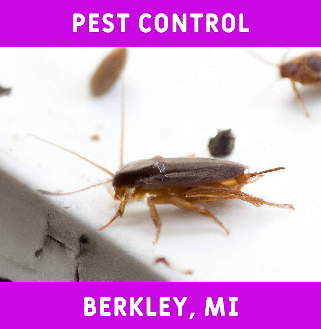 pest control in Berkley Michigan