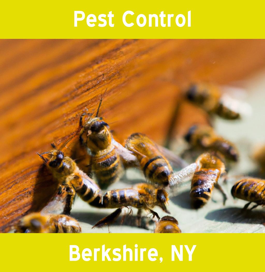 pest control in Berkshire New York