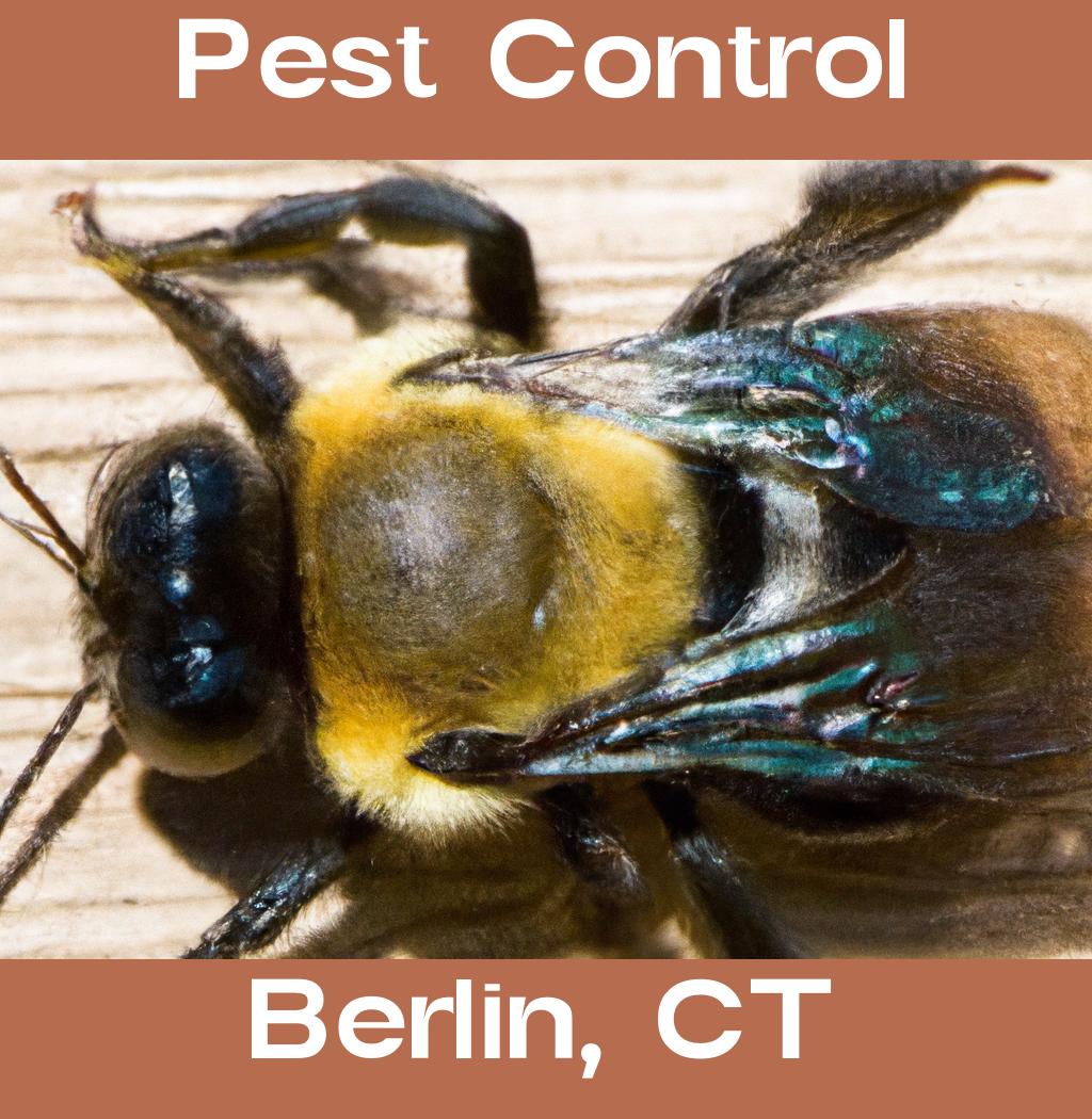pest control in Berlin Connecticut